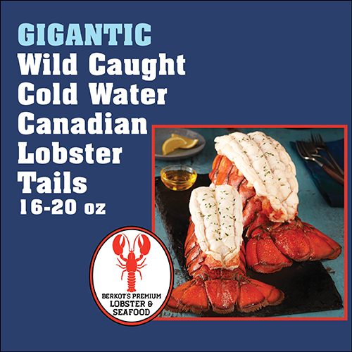 GIGANTIC Wild Caught Cold Water Canadian Lobster Tails 16-20 oz